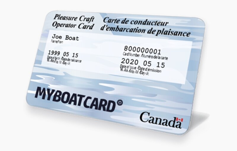License Card